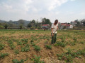 Công tác kiểm tra, giám sát thực hiện thu thập thông tin cuộc Điều tra kết thúc diện tích gieo trồng cây hàng năm vụ động năm 2023 tại xã Lương Năng và xã Điềm He (huyện Văn Quan)