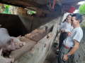 Kiểm tra Điều tra chăn nuôi kỳ 01/7/2023 tại xã Xuân Long, huyện Cao Lộc